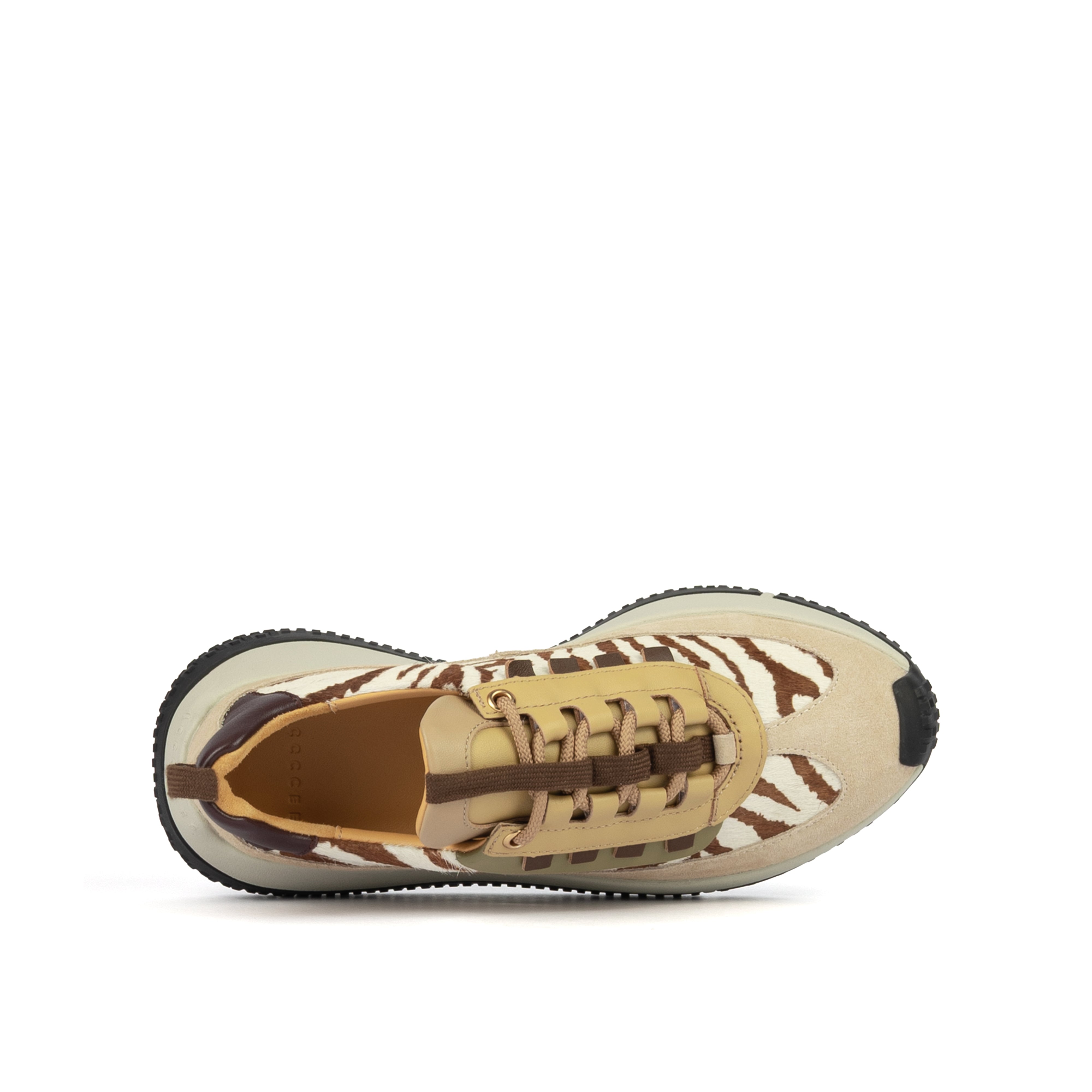 KAPOK PINTO ZEBRA